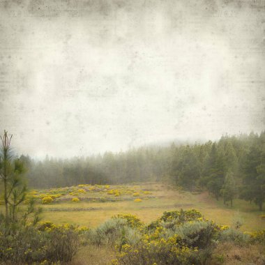 Gran Canaria peyzaj sisli bir günde ile dokulu eski Kağıt arka plan 