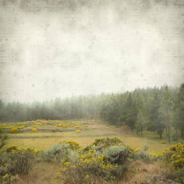 Gran Canaria peyzaj sisli bir günde ile dokulu eski Kağıt arka plan 