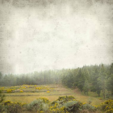 Gran Canaria peyzaj sisli bir günde ile dokulu eski Kağıt arka plan 