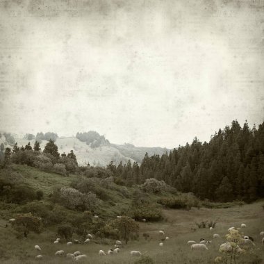 Gran Canaria yatay, koyun sürüsü ile dokulu eski Kağıt arka plan