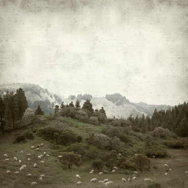 Gran Canaria yatay, koyun sürüsü ile dokulu eski Kağıt arka plan