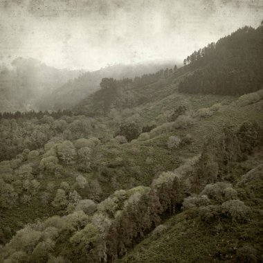 Eski Kağıt arka plan Gran Canaria ile Mayıs ayında dokulu 