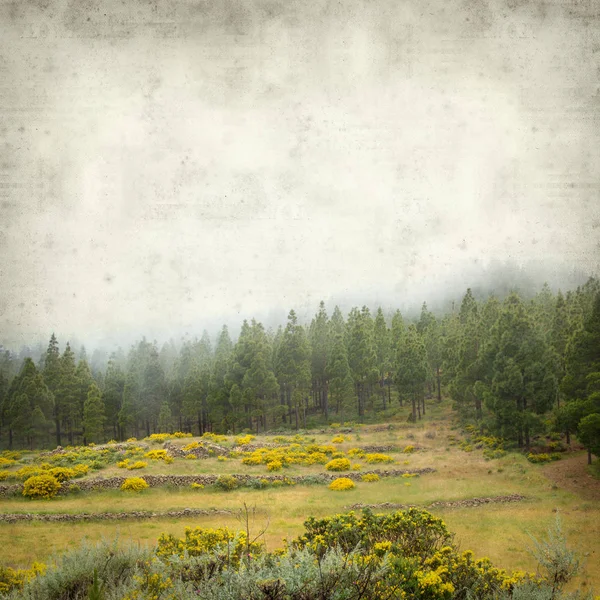 Fondo Papel Viejo Texturizado Con Paisaje Gran Canaria Día Niebla — Foto de Stock