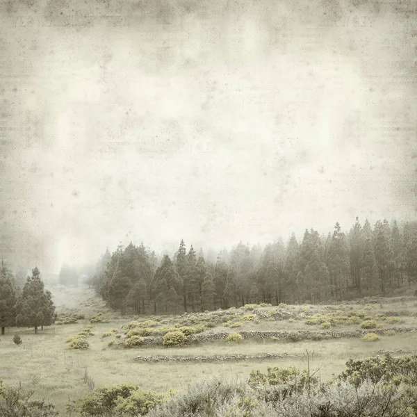 Vieux Fond Texturé Papier Avec Paysage Gran Canaria Par Une — Photo