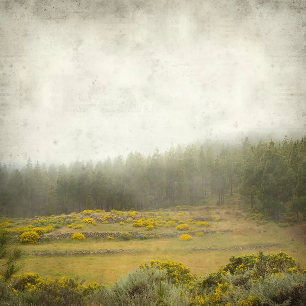 Teksturowanej Tło Stary Gran Canaria Krajobraz Mglisty Dzień — Zdjęcie stockowe