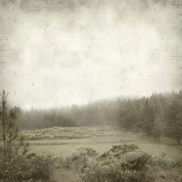 有质感的旧纸张背景与大加那利岛景观在一个雾天 — 图库照片
