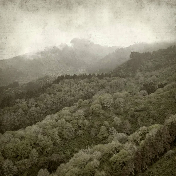 Eski Kağıt arka plan Gran Canaria ile Mayıs ayında dokulu 