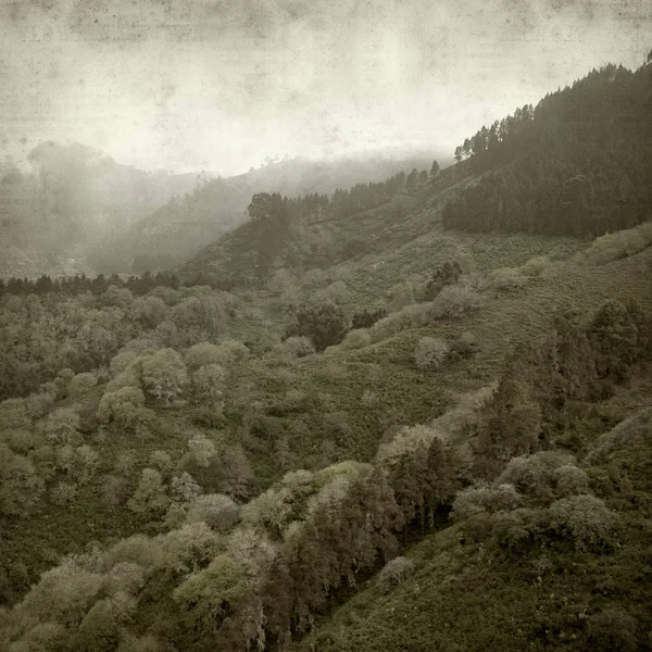 Eski Kağıt arka plan Gran Canaria ile Mayıs ayında dokulu 