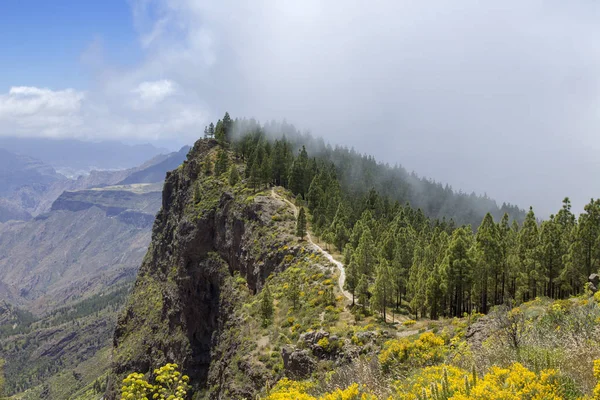 Gran Canaria Mayo Ruta Senderismo Cruz Tejeda Artenara Camino Subiendo — Foto de Stock