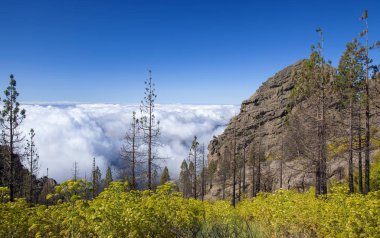 Gran Canaria, Haziran 2018, Pozos de la Nieve 'in güneyine bakın. 