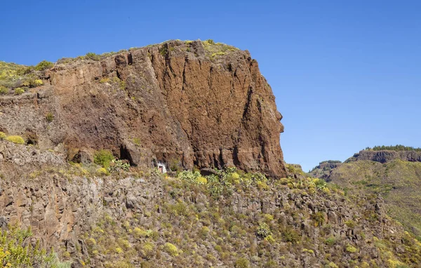 Гран Канария Июнь Крутые Стены Ущелья Barranco Guayadeque Пещеры Вулканической — стоковое фото