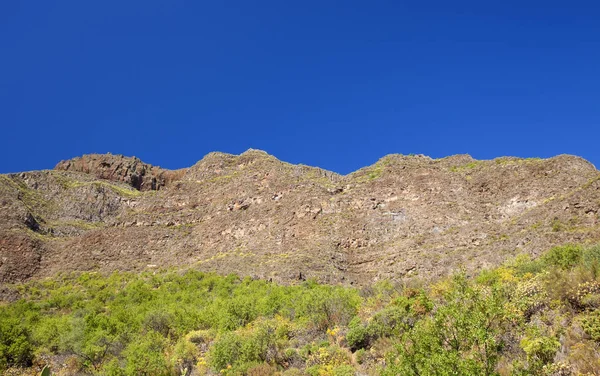 Gran Canaria, Haziran, dik duvarlar uçurumu Barranco de Guayadeque'nun