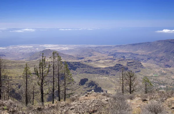 Gran Canaria Junho Vista Sobre Caldera Tirajana — Fotografia de Stock