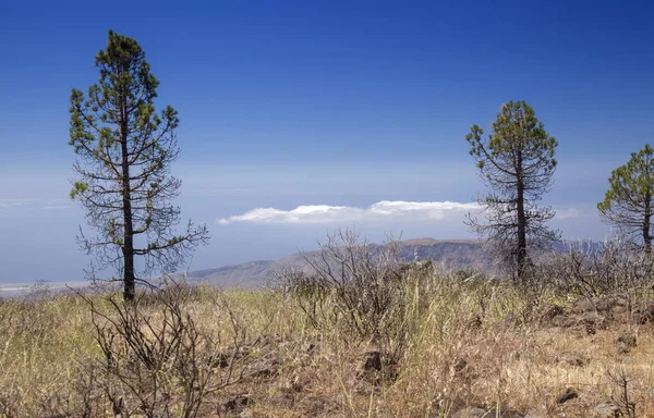 Gran Canaria, Haziran, görüntülemek Caldera de Tirajana arasında dağ silsilesi Amurga doğru