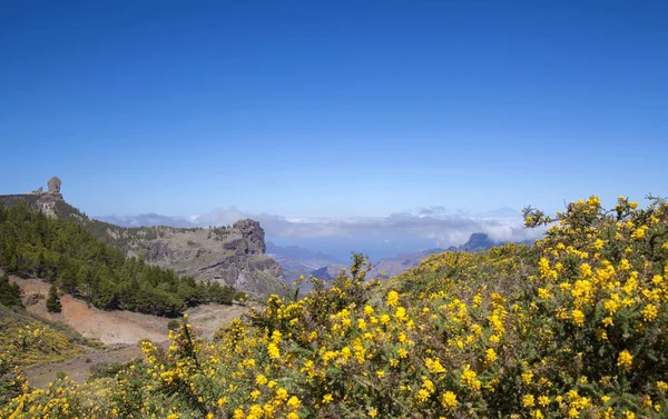 Gran Canaria, Haziran 2018, görüntülemek acrross Caldera de Tejeda, ikonik kaya oluşumu Roque Nublo soldaki Teide Tenerife sağ uzak mesafe