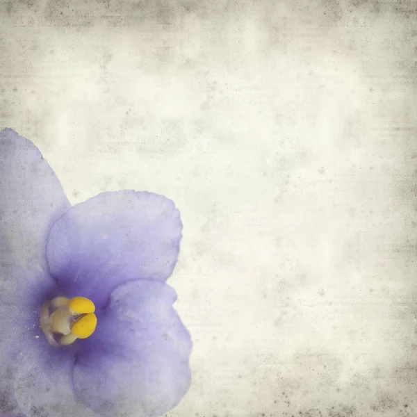 Eski Kağıt arka plan mavi African violet çiçekler ile dokulu