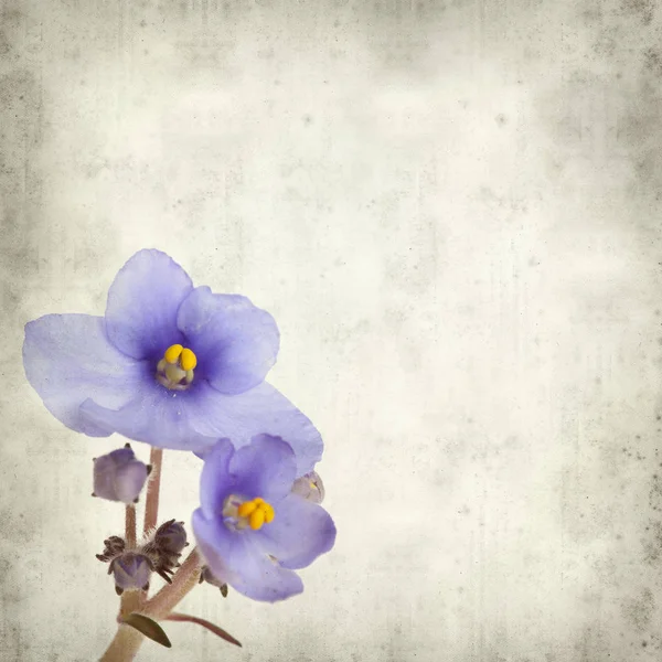 Eski Kağıt arka plan mavi African violet çiçekler ile dokulu