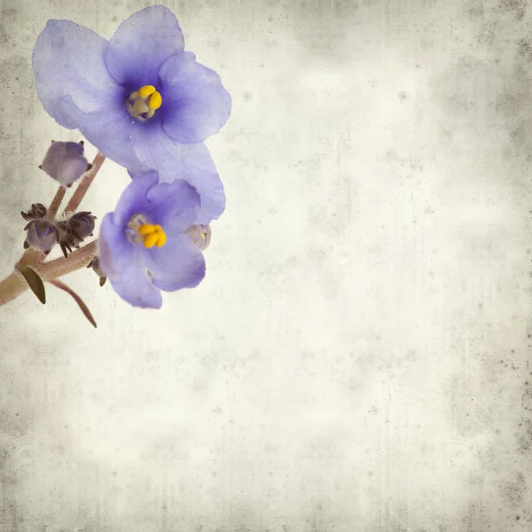 Eski Kağıt arka plan mavi African violet çiçekler ile dokulu
