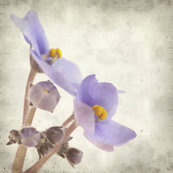 Eski Kağıt arka plan mavi African violet çiçekler ile dokulu