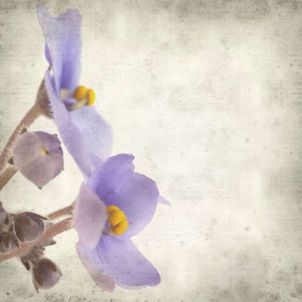 Eski Kağıt arka plan mavi African violet çiçekler ile dokulu