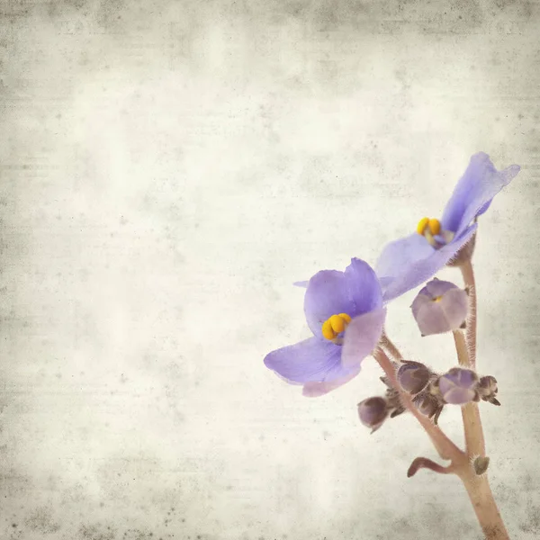 Eski Kağıt arka plan mavi African violet çiçekler ile dokulu