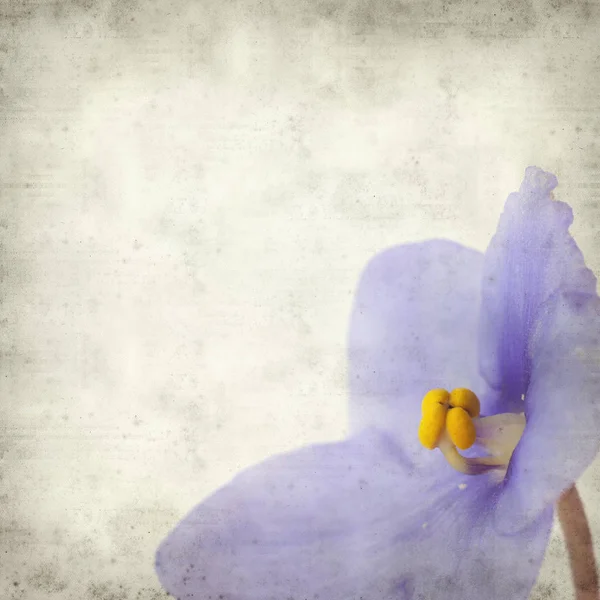 Eski Kağıt arka plan mavi African violet çiçekler ile dokulu