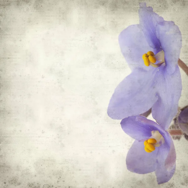 Texturierte Alte Papierhintergrund Mit Blau Afrikanischen Violetten Blumen — Stockfoto