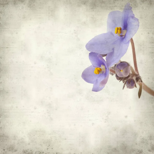 Eski Kağıt arka plan mavi African violet çiçekler ile dokulu