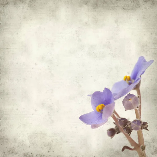 Eski Kağıt arka plan mavi African violet çiçekler ile dokulu