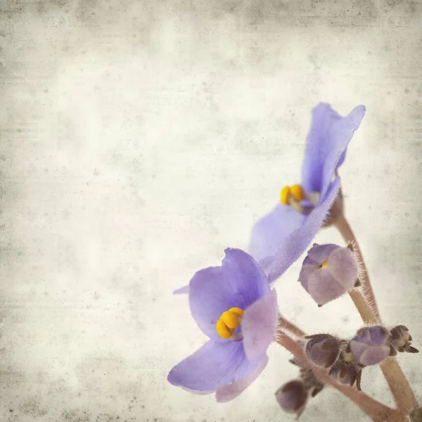 Eski Kağıt arka plan mavi African violet çiçekler ile dokulu
