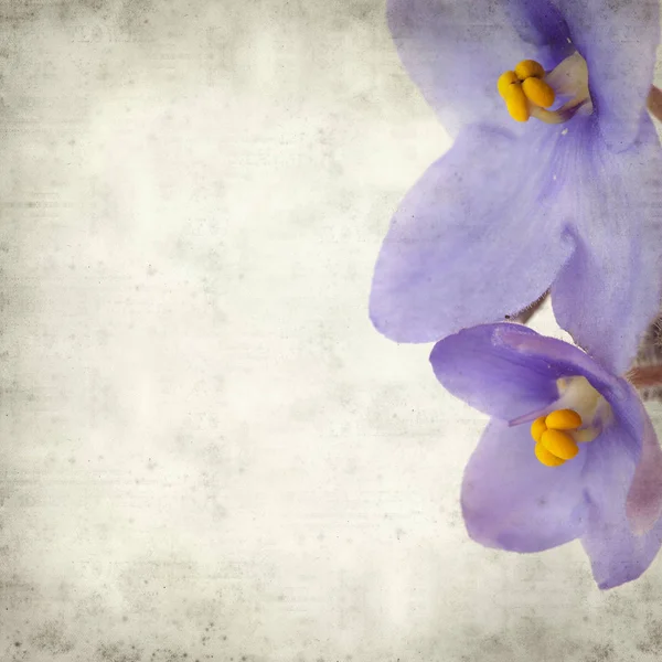 Eski Kağıt arka plan mavi African violet çiçekler ile dokulu