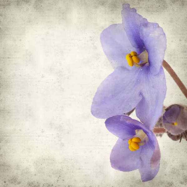 Eski Kağıt arka plan mavi African violet çiçekler ile dokulu