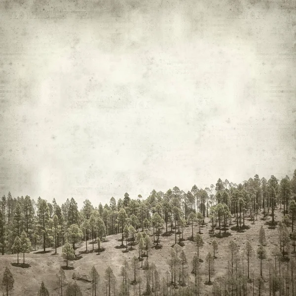 Fundo Papel Velho Texturizado Com Gran Canaria Paisagem — Fotografia de Stock