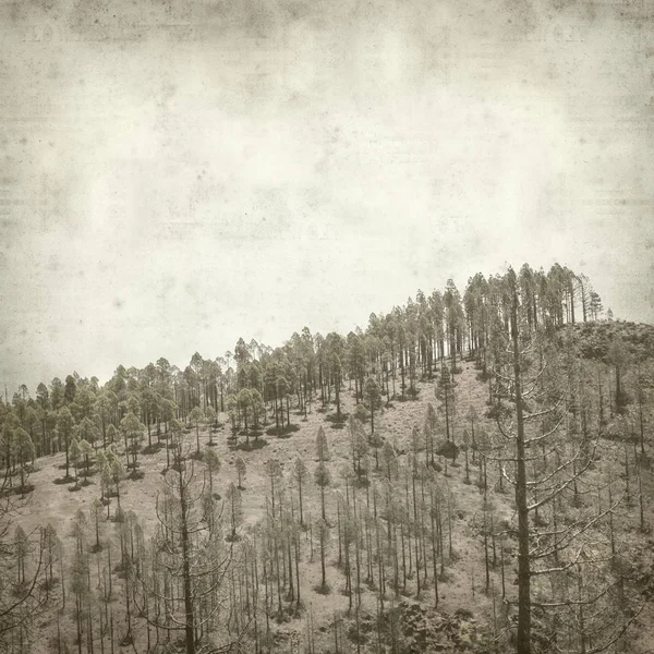 Vieux Fond Papier Texturé Avec Gran Canaria Paysage — Photo