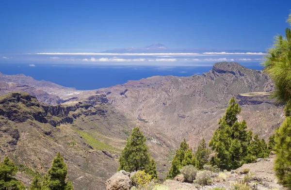Gran Canaria View Las Cumbres Highest Areas Island Teide Tenerife — Stock Photo, Image