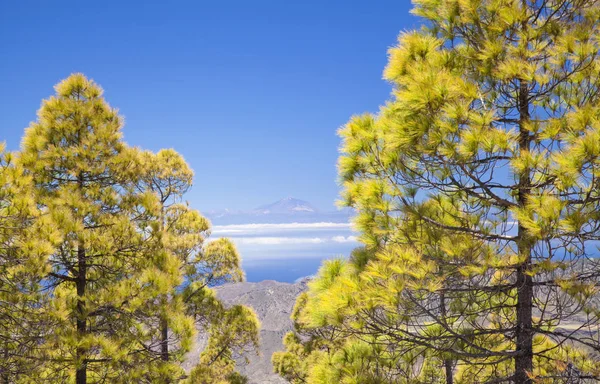 Gran Canaria Vista Desde Las Cumbres Las Zonas Más Altas —  Fotos de Stock
