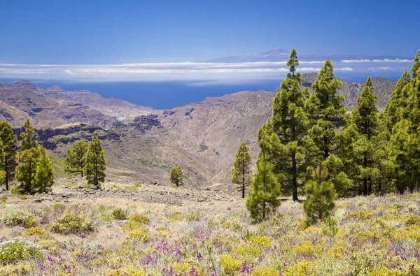 Gran Canaria Vista Desde Las Cumbres Las Zonas Más Altas —  Fotos de Stock