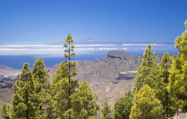 Gran Canaria Vista Las Cumbres Áreas Mais Altas Ilha — Fotografia de Stock