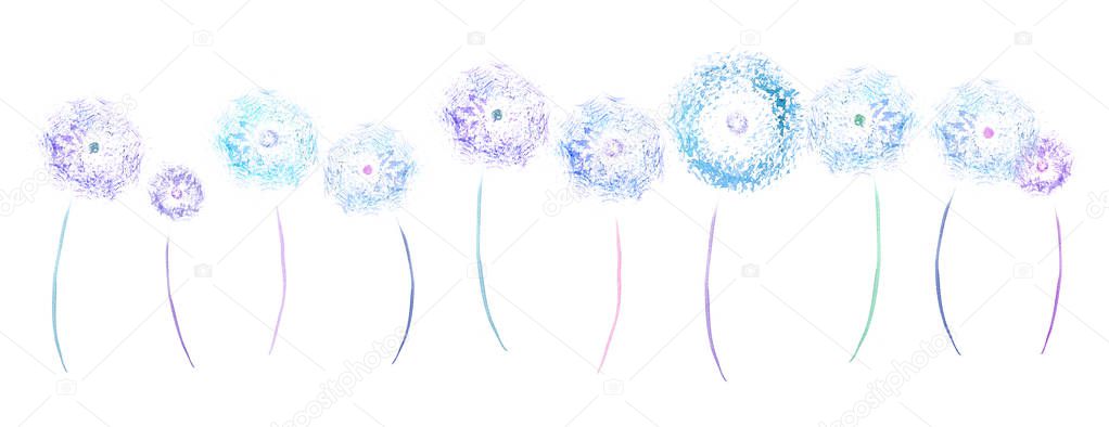 simple dandelion watercolor border on white background