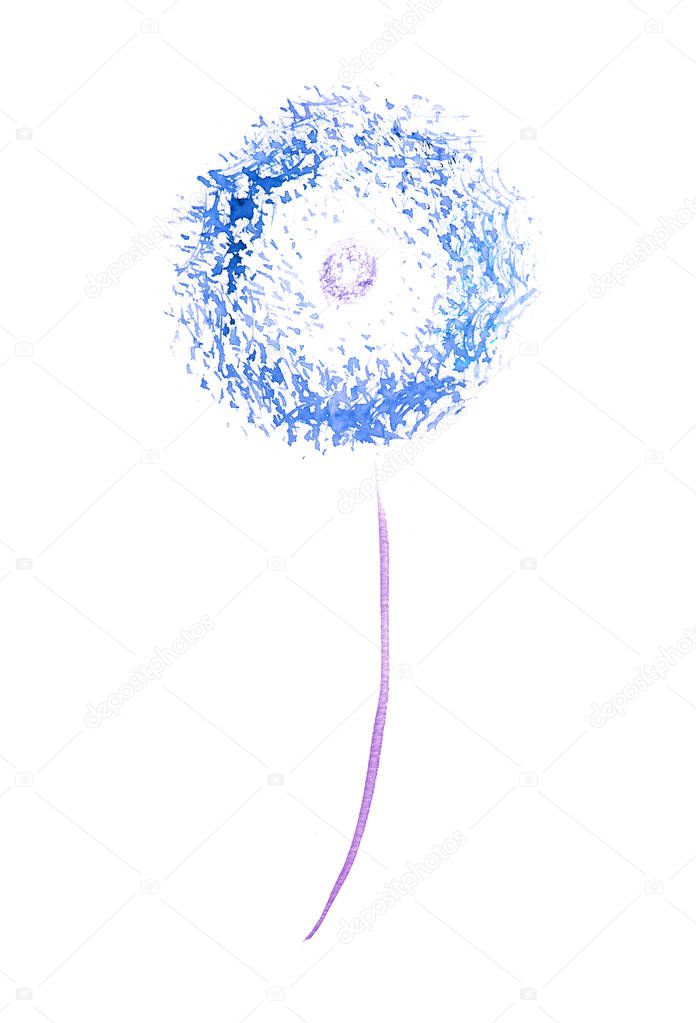 simple dandelion watercolor picture on white background