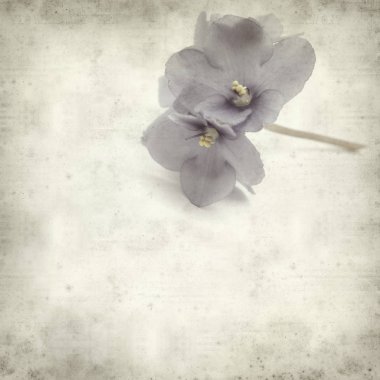 Eski Kağıt arka plan mavi African violet çiçekler ile dokulu