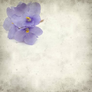 Eski Kağıt arka plan mavi African violet çiçekler ile dokulu