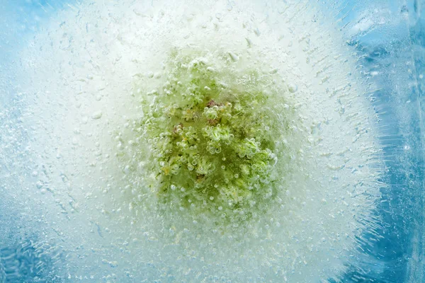 매크로 얼음의 블록으로 냉동으로 — 스톡 사진