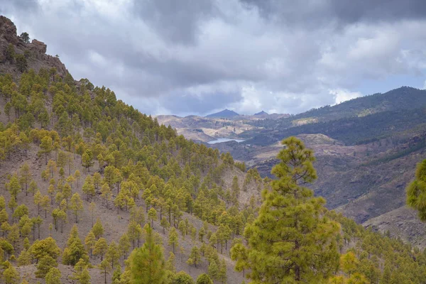 Gran Canaria Uitzicht Vanaf Las Cumbres Hoogste Gebieden Van Het — Stockfoto