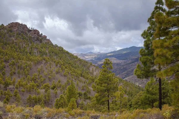 Gran Canaria Uitzicht Vanaf Las Cumbres Hoogste Gebieden Van Het — Stockfoto