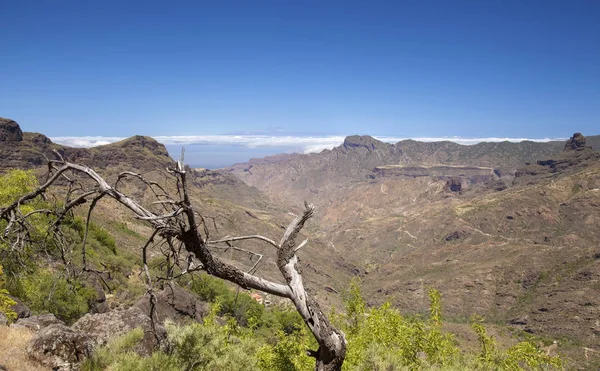 Teide Tenerife Hoogste Berg Spanje Gezien Vanuit Las Cumbres Het — Stockfoto