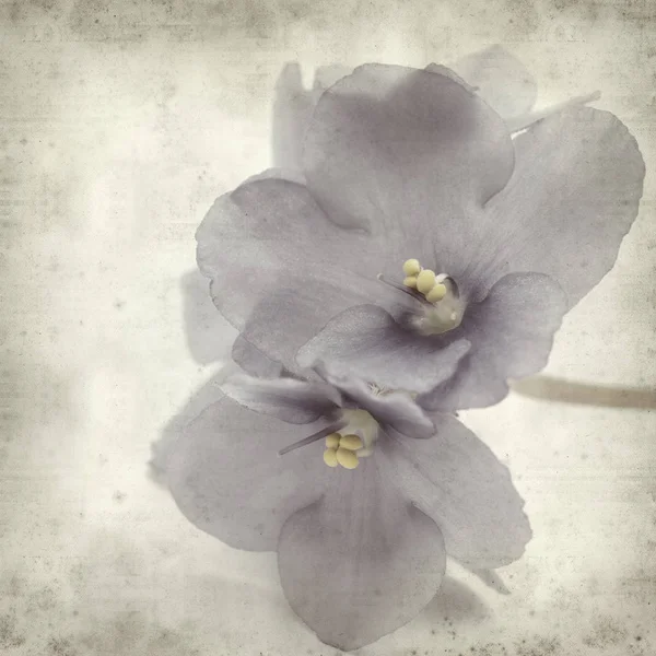 Vieux Fond Papier Texturé Avec Des Fleurs Violettes Africaines Bleues — Photo