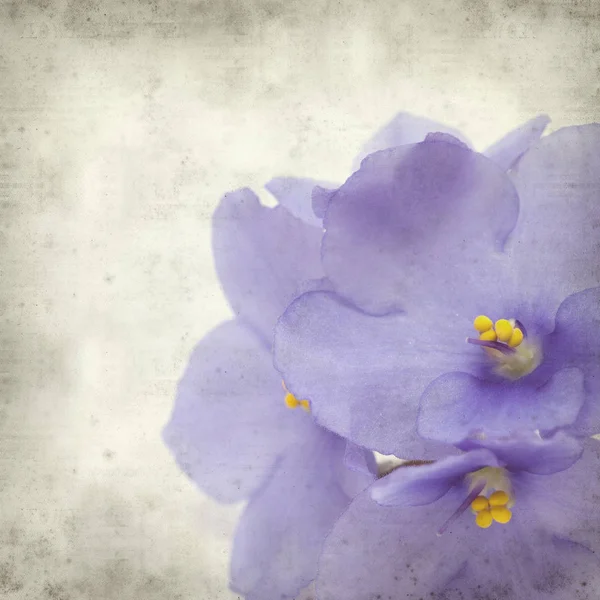 Υφή Παλιό Χαρτί Φόντο Μπλε Αφρικανικά Ιώδη Λουλούδια — Φωτογραφία Αρχείου