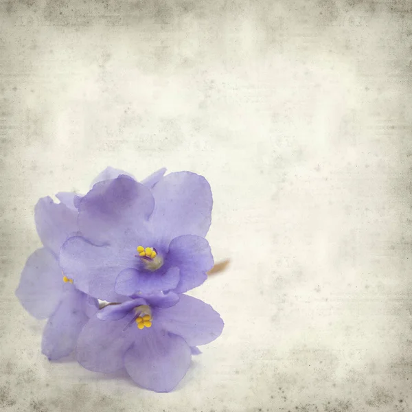 Υφή Παλιό Χαρτί Φόντο Μπλε Αφρικανικά Ιώδη Λουλούδια — Φωτογραφία Αρχείου