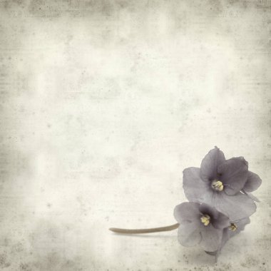Eski Kağıt arka plan mavi African violet çiçekler ile dokulu